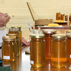 pure natural honey manufacturers exporters suppliers in india punjab ludhiana